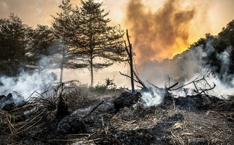 Оценка ущерба после стихийного бедствия в Чите: отчет оценщика